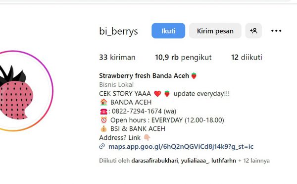 Daftar Penjual Buah Strawberry di Banda Aceh: Nikmati Kelezatan Buah Segar Langka
